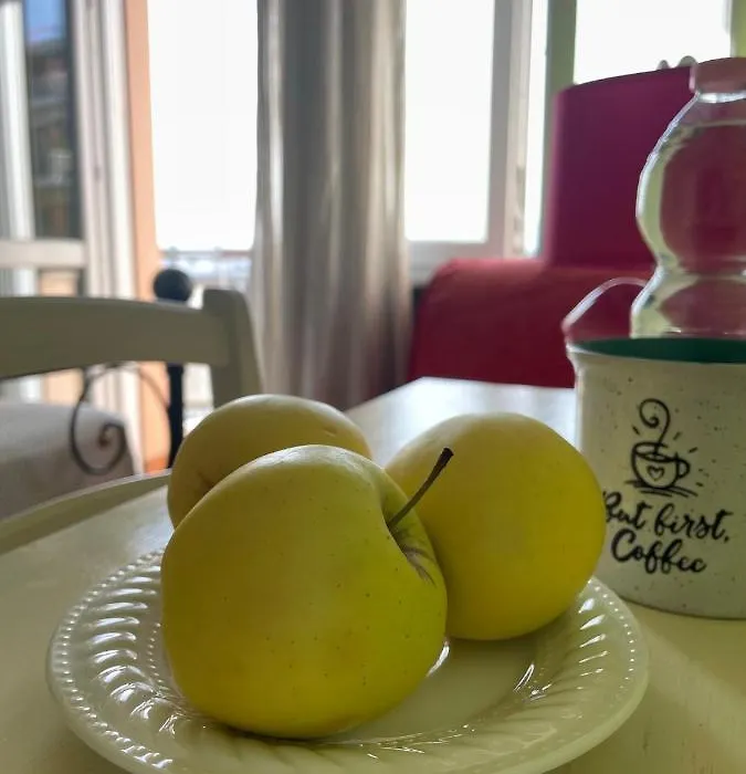 B&B Sarien-1